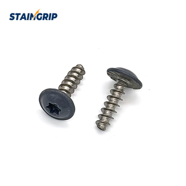 Type F screws with dark painted wafer heads, Torx recesses and blunt cutting ends